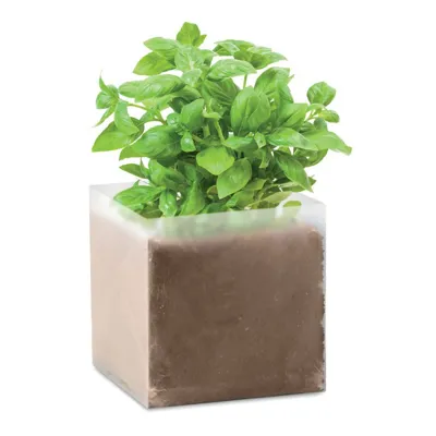 BASIL / BAZILIKA SĒKLAS + PODIŅŠ AR KOMPOSTU