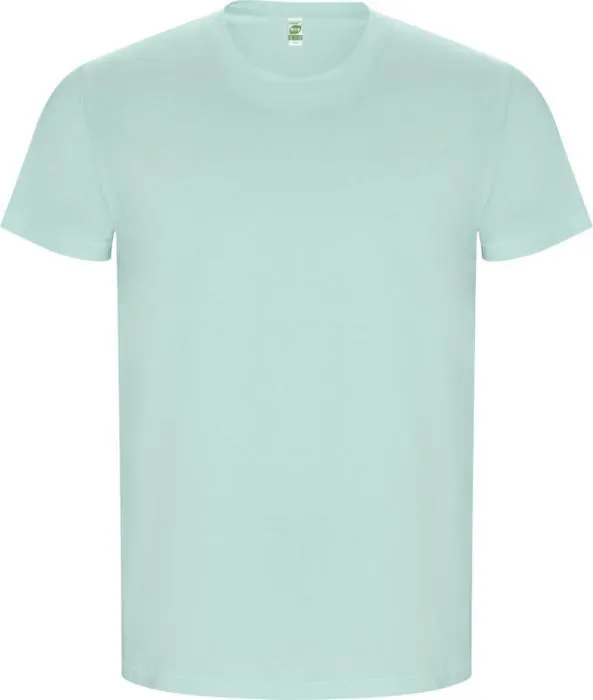 VĪRIEŠU T- KREKLS NO ORGANISKĀS KOKVILNAS / 9 KRĀSĀS / S - 3XL / 160g / PF-R66901Z1