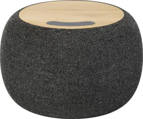 TUMBIŅA AR BEZVADU LĀDĒTĀJU / PF124318