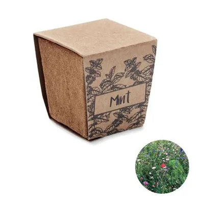PIPARMĒTRU KŪDRAS PODIŅŠ ''MINT KIT''