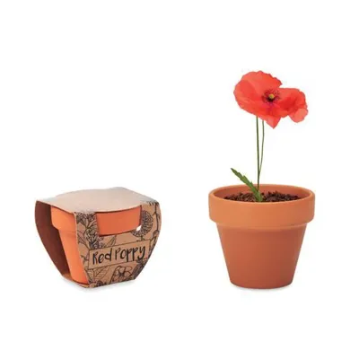 RED POPPY / MĀLA PODIŅŠ + MAGOŅU SĒKLIŅA