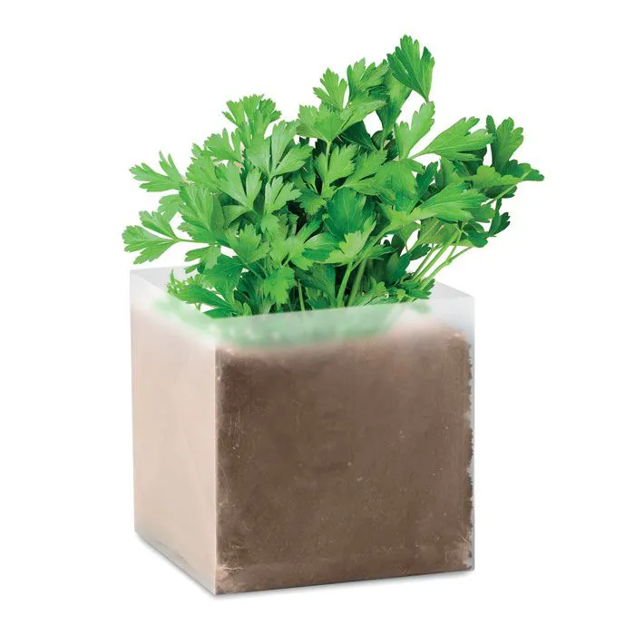 PARSELY / PĒTERSĪĻU SĒKLAS + PODIŅŠ AR KOMPOSTU / MO9547