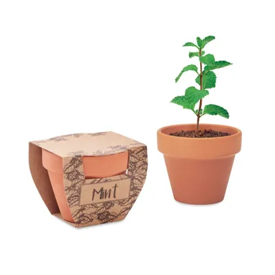 PODIŅŠ PIPARMĒTRAS AUDZĒŠANAI ''MINT POT''