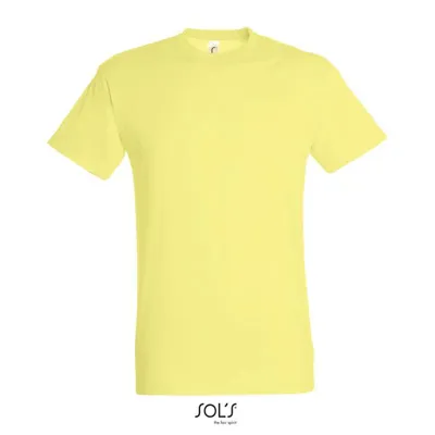 REGENT / SOL`S / UNISEX / 150 G / KOKVILNAS / 41 KRĀSĀS