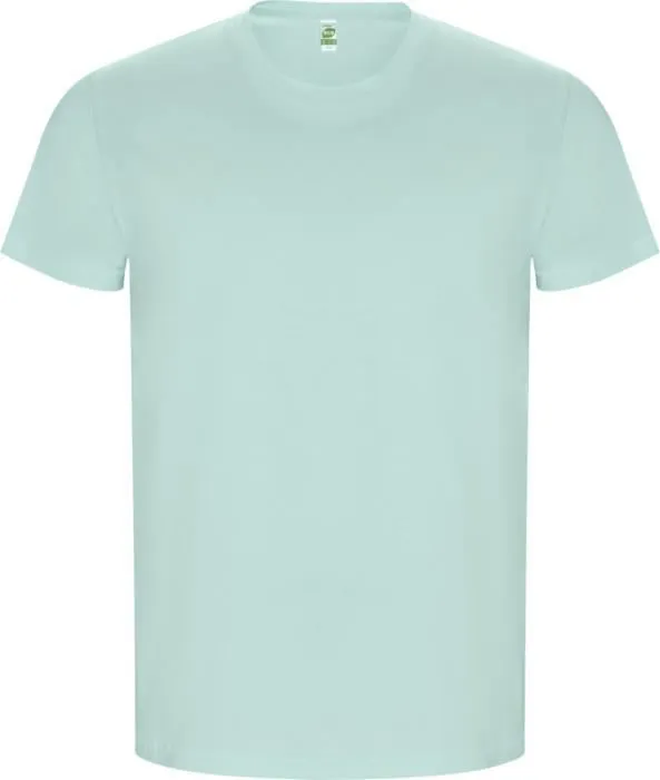 VĪRIEŠU T- KREKLS NO ORGANISKĀS KOKVILNAS / 9 KRĀSĀS / S - 3XL / 160g / PF-R66901Z1