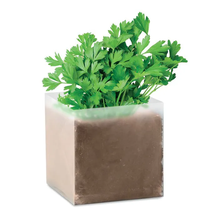 PARSELY / PĒTERSĪĻU SĒKLAS + PODIŅŠ AR KOMPOSTU / MO9547